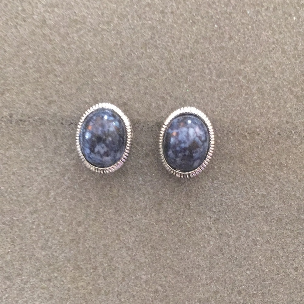 Blue & Silver Post Earrings